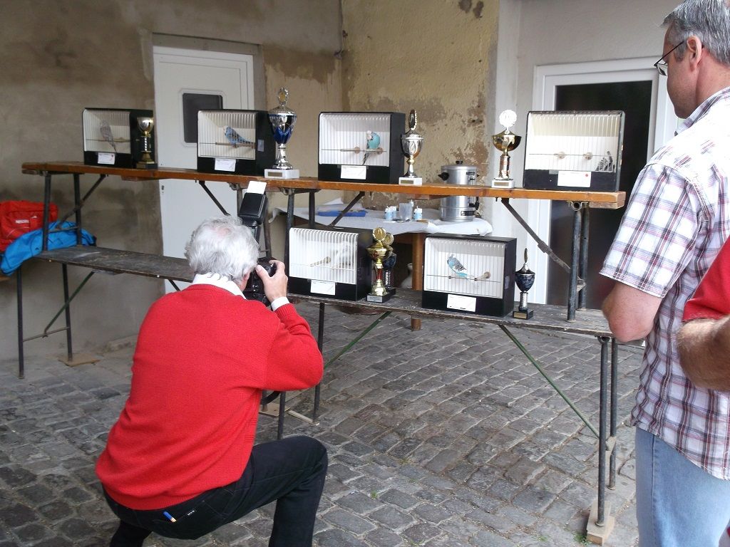18. Zuechtertreffen 2013 036.JPG